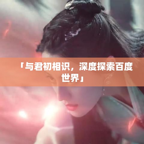 「与君初相识，深度探索百度世界」