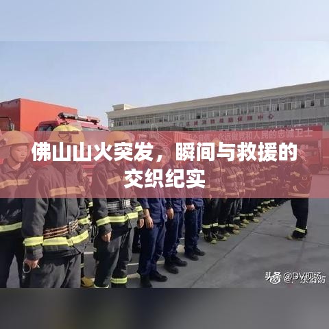 佛山山火突发，瞬间与救援的交织纪实