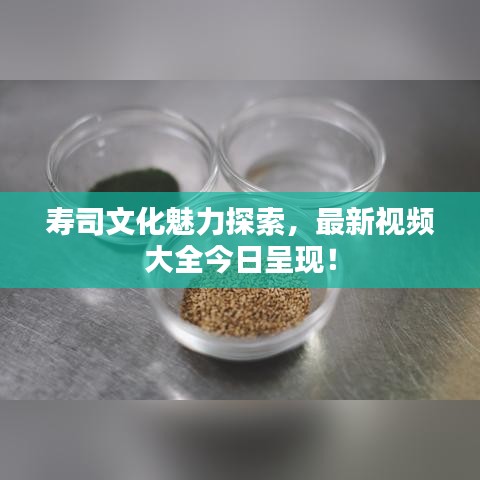 寿司文化魅力探索，最新视频大全今日呈现！