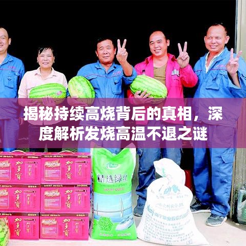 揭秘持续高烧背后的真相，深度解析发烧高温不退之谜