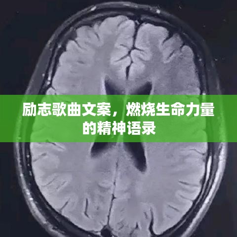 励志歌曲文案，燃烧生命力量的精神语录