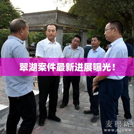 翠湖案件最新进展曝光！
