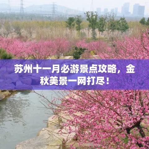 苏州十一月必游景点攻略，金秋美景一网打尽！