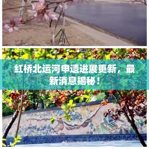 红桥北运河申遗进展更新，最新消息揭秘！