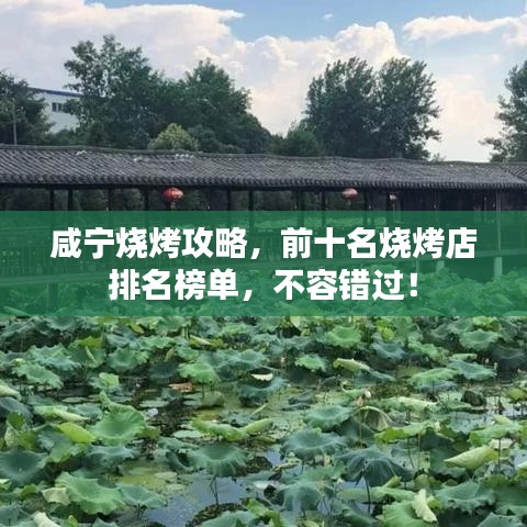 咸宁烧烤攻略，前十名烧烤店排名榜单，不容错过！