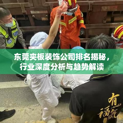 东莞夹板装饰公司排名揭秘，行业深度分析与趋势解读