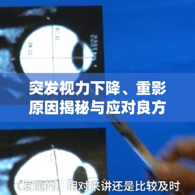 雍容华贵 第2页