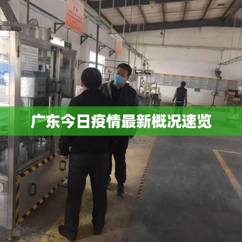 广东今日疫情最新概况速览