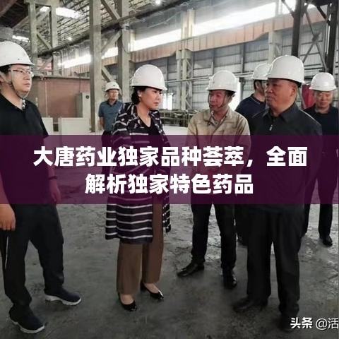 大唐药业独家品种荟萃，全面解析独家特色药品