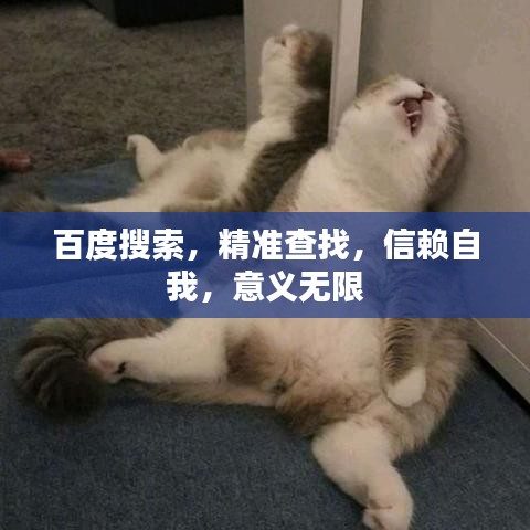百度搜索，精准查找，信赖自我，意义无限