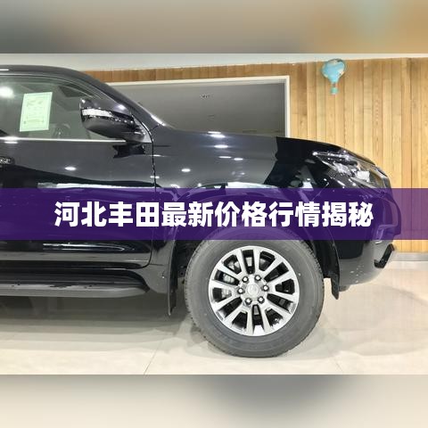 河北丰田最新价格行情揭秘