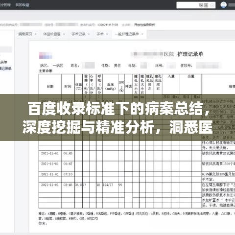 百度收录标准下的病案总结，深度挖掘与精准分析，洞悉医疗数据价值！