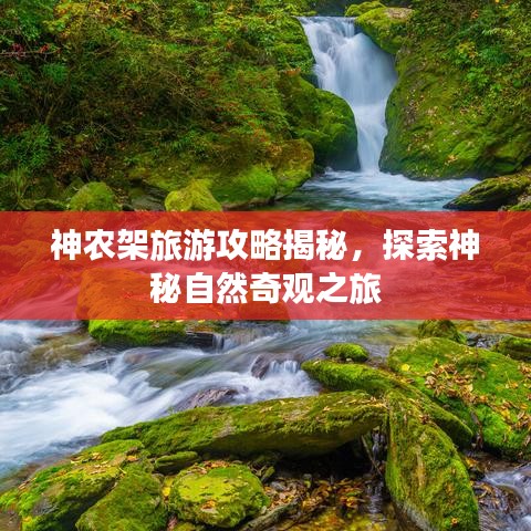 神农架旅游攻略揭秘，探索神秘自然奇观之旅