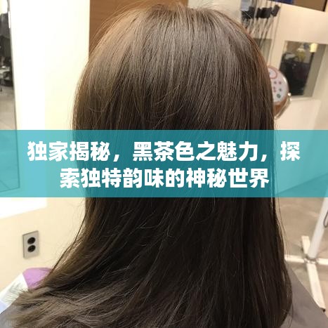 独家揭秘，黑茶色之魅力，探索独特韵味的神秘世界