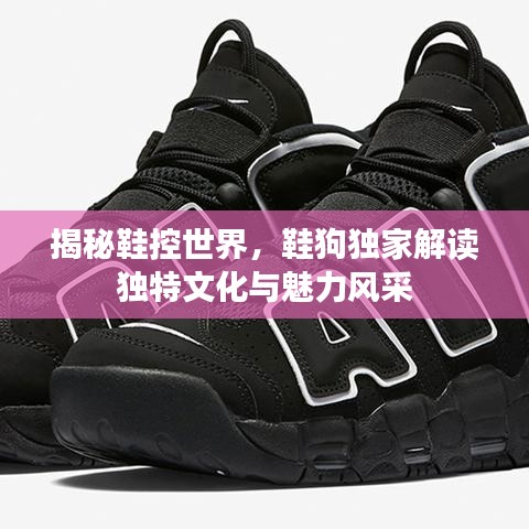 揭秘鞋控世界，鞋狗独家解读独特文化与魅力风采
