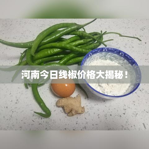 河南今日线椒价格大揭秘！