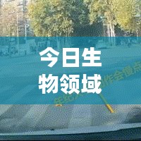 雍荣闲雅 第2页