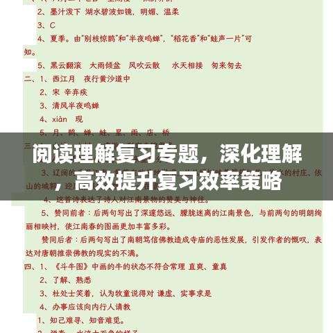 阅读理解复习专题，深化理解，高效提升复习效率策略
