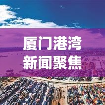 厦门港湾新闻聚焦，港城繁荣的脉搏与无限活力