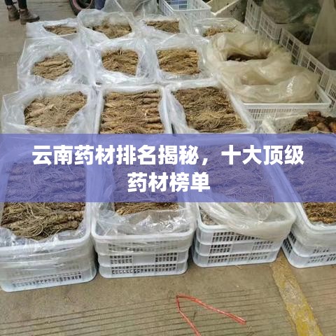 2025年1月 第8页