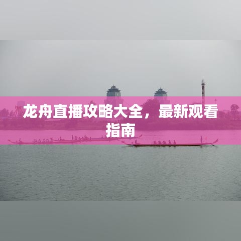 龙舟直播攻略大全，最新观看指南