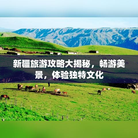 新疆旅游攻略大揭秘，畅游美景，体验独特文化