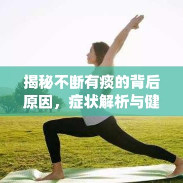 揭秘不断有痰的背后原因，症状解析与健康建议全解析