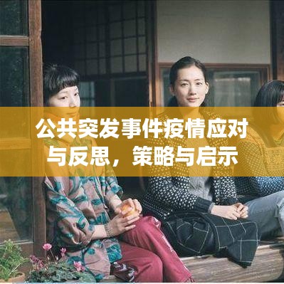 公共突发事件疫情应对与反思，策略与启示