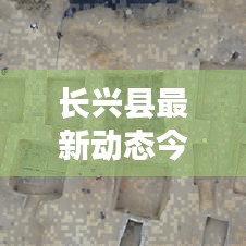 飞扬跋扈