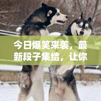 今日爆笑来袭，最新段子集结，让你笑出腹肌！