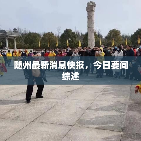 随州最新消息快报，今日要闻综述