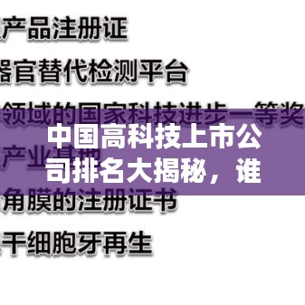 中国高科技上市公司排名大揭秘，谁是领头羊？