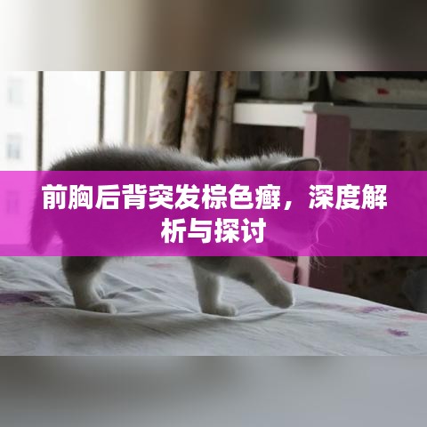 前胸后背突发棕色癣，深度解析与探讨