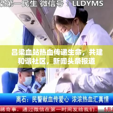 吕梁血站热血传递生命，共建和谐社区，新闻头条报道