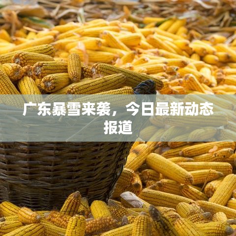 第353页