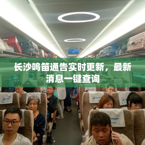 长沙鸣笛通告实时更新，最新消息一键查询