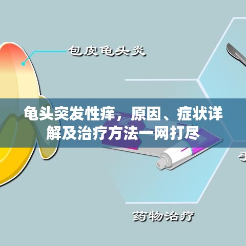 第350页