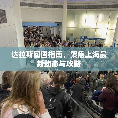 达拉斯回国指南，聚焦上海最新动态与攻略