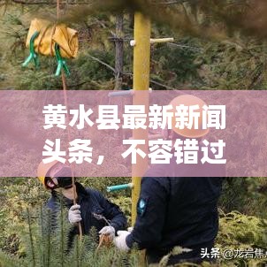 黄水县最新新闻头条，不容错过！