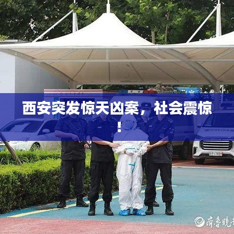 西安突发惊天凶案，社会震惊！