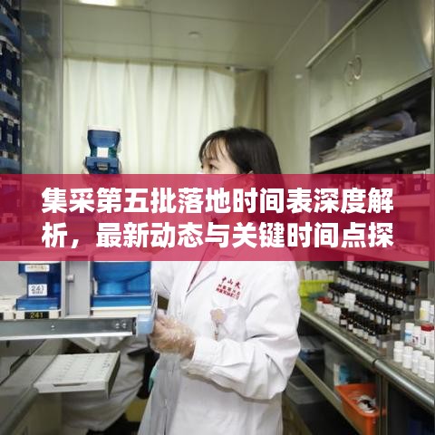 集采第五批落地时间表深度解析，最新动态与关键时间点探讨