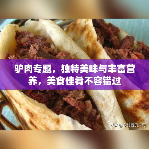 驴肉专题，独特美味与丰富营养，美食佳肴不容错过