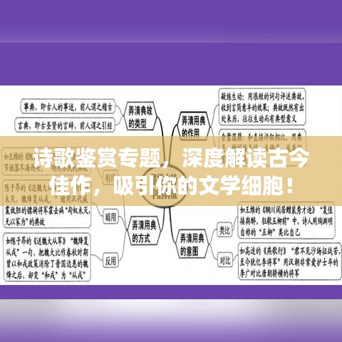 诗歌鉴赏专题，深度解读古今佳作，吸引你的文学细胞！
