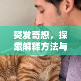 突发奇想，探索解释方法与创新思维的源泉