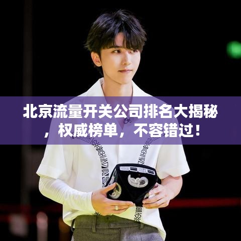 北京流量开关公司排名大揭秘，权威榜单，不容错过！