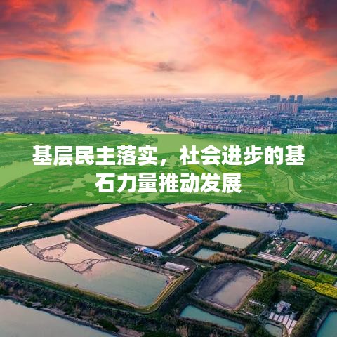 基层民主落实，社会进步的基石力量推动发展
