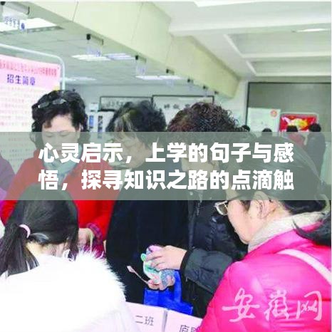 心灵启示，上学的句子与感悟，探寻知识之路的点滴触动心灵