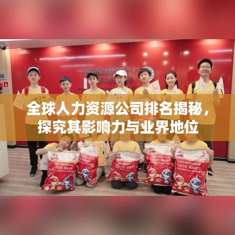 全球人力资源公司排名揭秘，探究其影响力与业界地位