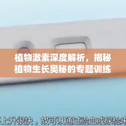 植物激素深度解析，揭秘植物生长奥秘的专题训练