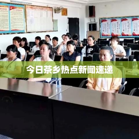 今日茶乡热点新闻速递